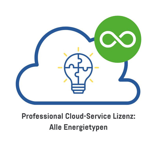 smart-me Professional Cloud-Service Lizenz: Alle Energietypen, einmalig pro Messpunkt